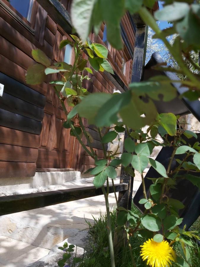 Bungalow 3 With 1 Room ซาราเยโว ภายนอก รูปภาพ