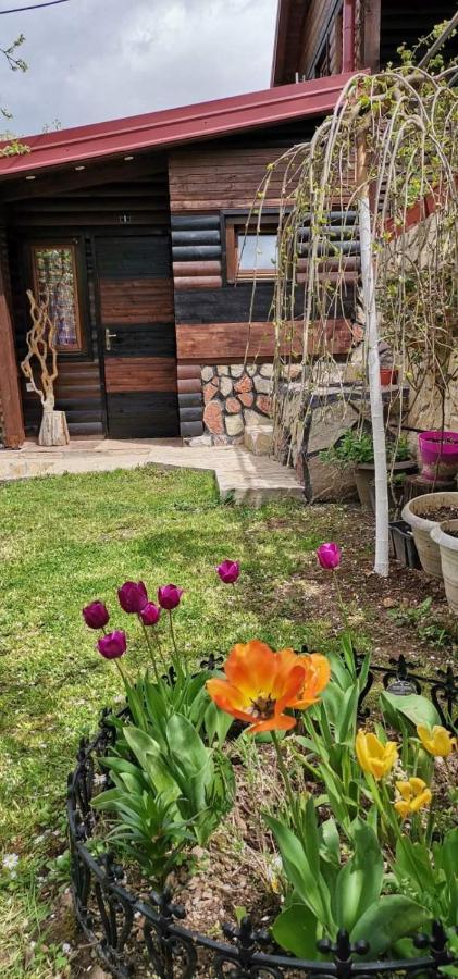 Bungalow 3 With 1 Room ซาราเยโว ภายนอก รูปภาพ